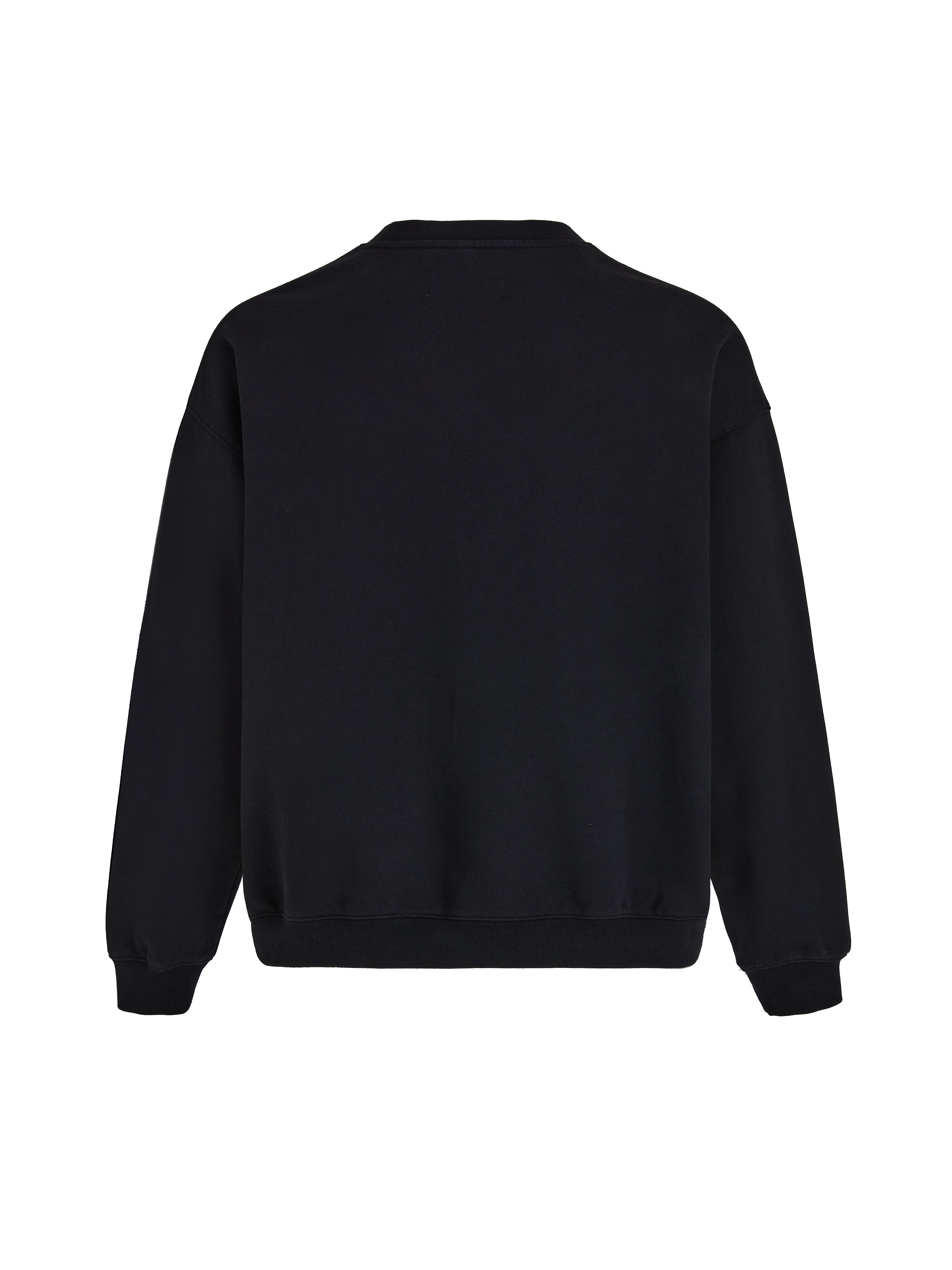 Crewneck Sweatshirt-16